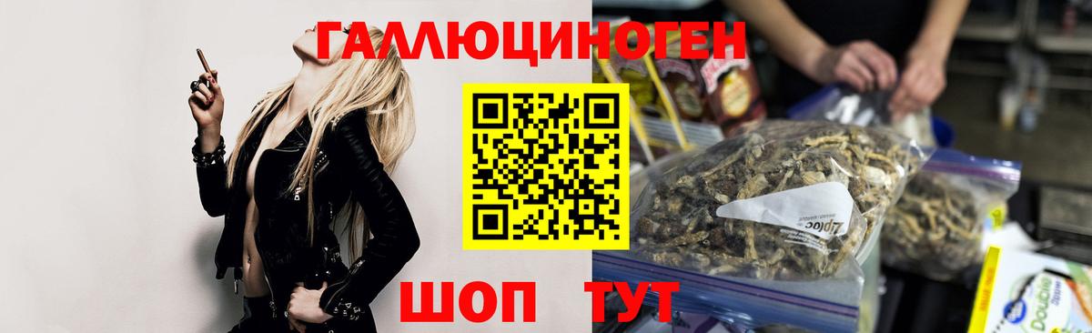 Псилоцибиновые грибы прущие грибы  Вход с VPN  Подольск 